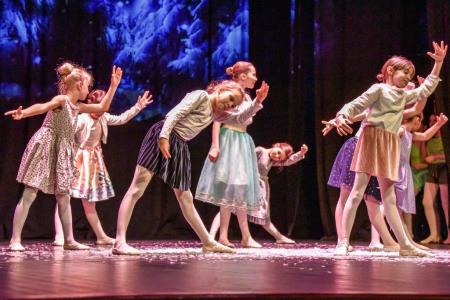 Diploma: Janez Resman za fotografijo Podmladek